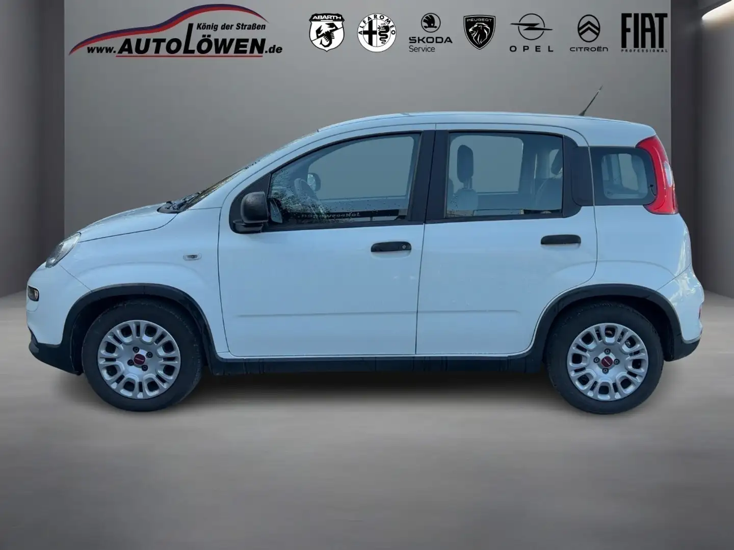 Fiat Panda 1.0 Mild Hybrid Base (Euro 6d) Blanc - 2