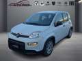 Fiat Panda 1.0 Mild Hybrid Base (Euro 6d) Blanc - thumbnail 1