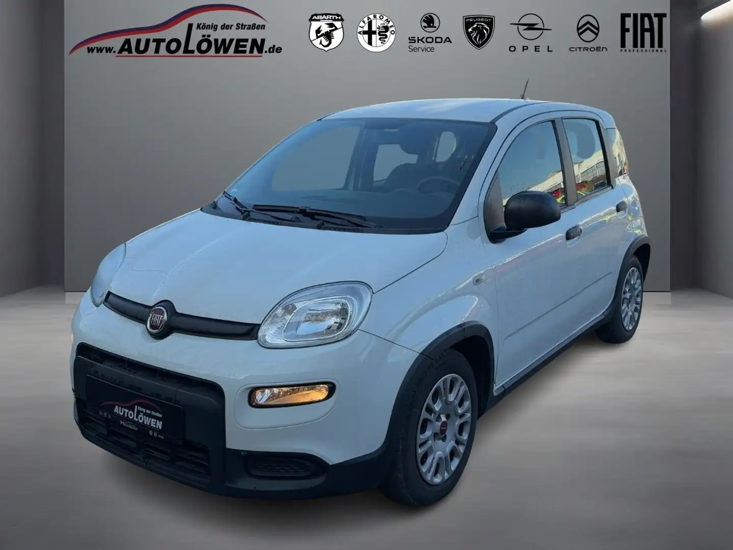 Fiat Panda 1.0 Mild Hybrid Base (Euro 6d) Blanc - 1