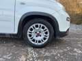 Fiat Panda 1.0 Mild Hybrid Base (Euro 6d) Blanc - thumbnail 6