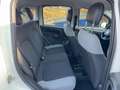 Fiat Panda 1.0 Mild Hybrid Base (Euro 6d) Blanc - thumbnail 11