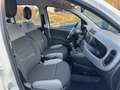 Fiat Panda 1.0 Mild Hybrid Base (Euro 6d) Blanc - thumbnail 10