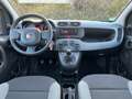 Fiat Panda 1.0 Mild Hybrid Base (Euro 6d) Blanc - thumbnail 7