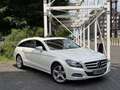 Mercedes-Benz CLS 350 CLS Shooting Brake 350 CDI 4Matic 7G-TRONIC White - thumbnail 2