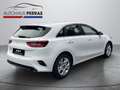 Kia Ceed / cee'd Ceed 1.5 T-GDI DCT Vision Navi+SHZ+LM+PDC+AUT Weiß - thumbnail 5