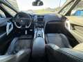 DS Automobiles DS 5 2.0 HDi 16V FAP - 160  BERLINE Sport Chic PHASE 1 Grau - thumbnail 19