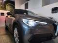 Alfa Romeo Stelvio - Stelvio 2.2 Turbodiesel 210 CV AT8 Q4 Executive Grigio - thumbnail 3