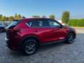 Mazda CX-5 2.2L Skyactiv-D 150 CV 2WD Evolve Rosso - thumbnail 7