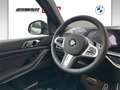 BMW X5 xDrive40d (G05) M Sportpaket HK HiFi DAB LED Grau - thumbnail 9