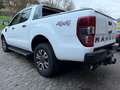 Ford Ranger Wildtrak 4x4 Leder,Navi,LED,AHK Blanc - thumbnail 4