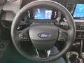 Ford Tourneo Courier Titanium Klimaaut RFK SHZ LRH NSW Tempo LM 17'' Gris - thumbnail 9