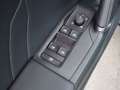 CUPRA Formentor 1.5 TSI Aut LED RADAR LEDER R-CAM PDC Grau - thumbnail 21