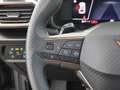 CUPRA Formentor 1.5 TSI Aut LED RADAR LEDER R-CAM PDC Grau - thumbnail 19