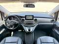 Mercedes-Benz Marco Polo Marco Polo Horizon 250 d lang 4MATIC Aut. Grau - thumbnail 22