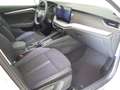 Skoda Octavia Combi 2.0TDI Plus DSG7 110kW Bianco - thumbnail 5