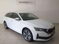 Skoda Octavia Combi 2.0TDI Plus DSG7 110kW Bianco - thumbnail 1