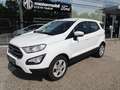 Ford EcoSport 1,0 EcoBoost Cool & Connect Weiß - thumbnail 1