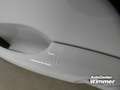 Ford Kuga Titanium 1.5 EcoBlue Titanium White - thumbnail 14