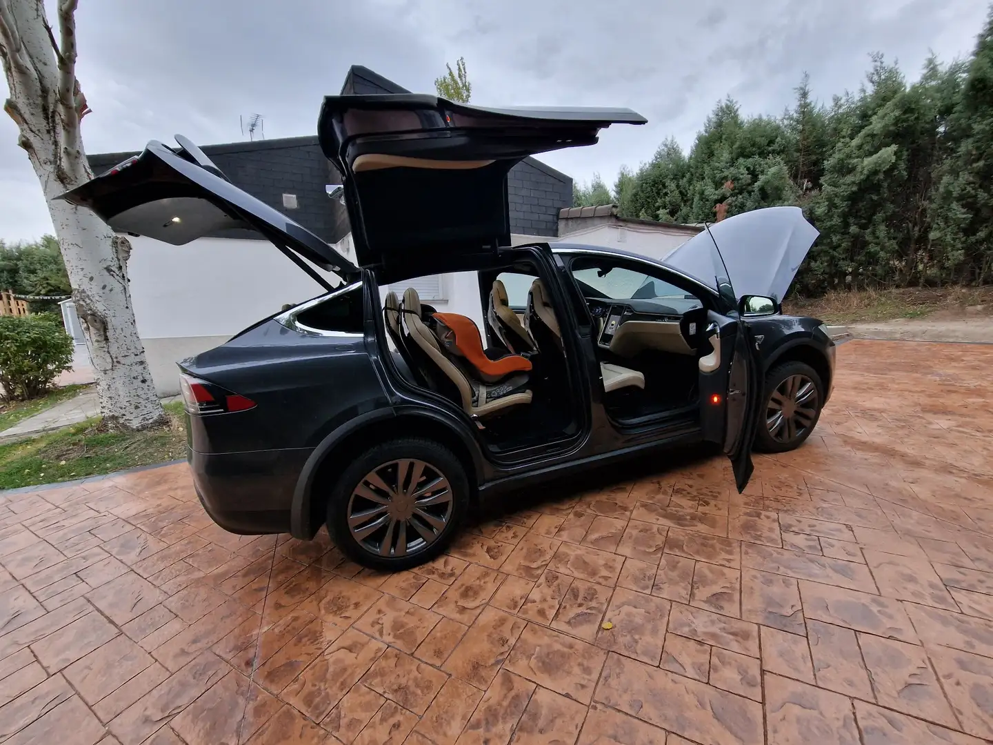 Tesla Model X - 2