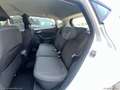 Ford Fiesta 1.1 75 CV 5p. Titanium Blanc - thumbnail 26