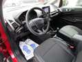 Ford EcoSport Titanium, Sitz-u. Lenkradheitzung, Rouge - thumbnail 10