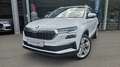 Skoda Karoq 2,0 TDI 4x4 DSG Style Weiß - thumbnail 1