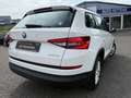 Skoda Kodiaq Active 1.4 TFSI PDC-Temp-AHK-Klimaautomatik Weiß - thumbnail 5