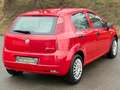 Fiat Grande Punto 1,2 Actual nur 22.000KM Pickerl bis 11.2026 Plus 4 Rot - thumbnail 6