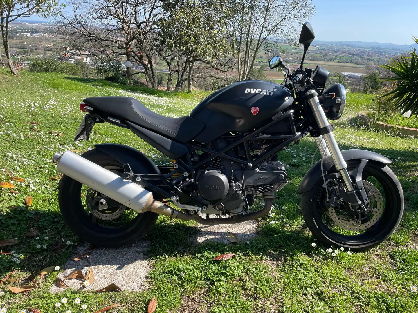 Ducati Monster 695 Nero - 1
