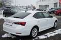 Skoda Octavia 1.5 16V TSI Ambition LED AAC SHZ PDC Tempo Weiß - thumbnail 6