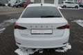 Skoda Octavia 1.5 16V TSI Ambition LED AAC SHZ PDC Tempo Weiß - thumbnail 7