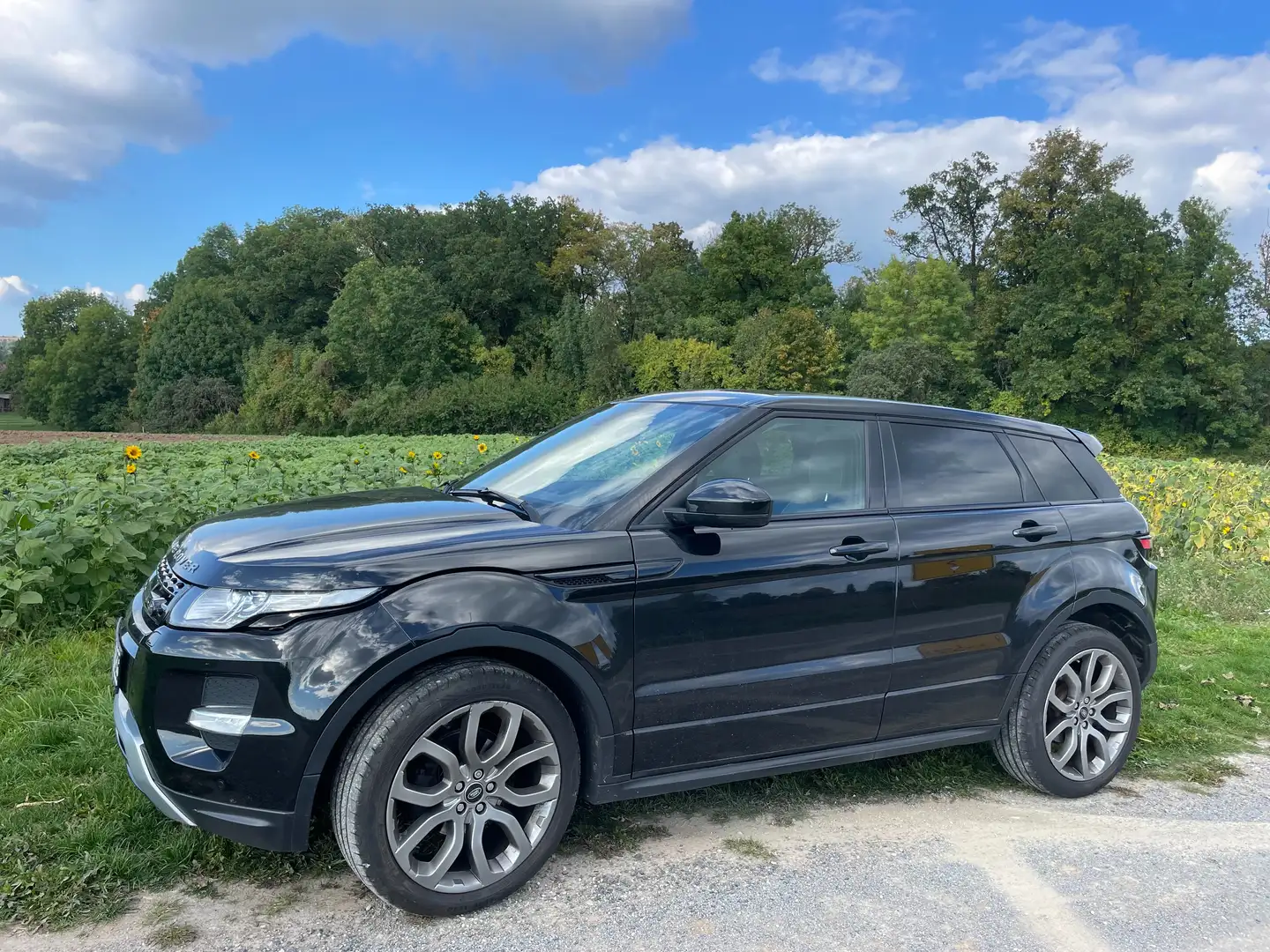 Land Rover Range Rover Evoque Range Rover Evoque SD4 Aut. Dynamic Schwarz - 2