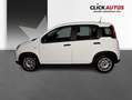 Fiat Panda 1.0 70CV Hybrid Blanco - thumbnail 5
