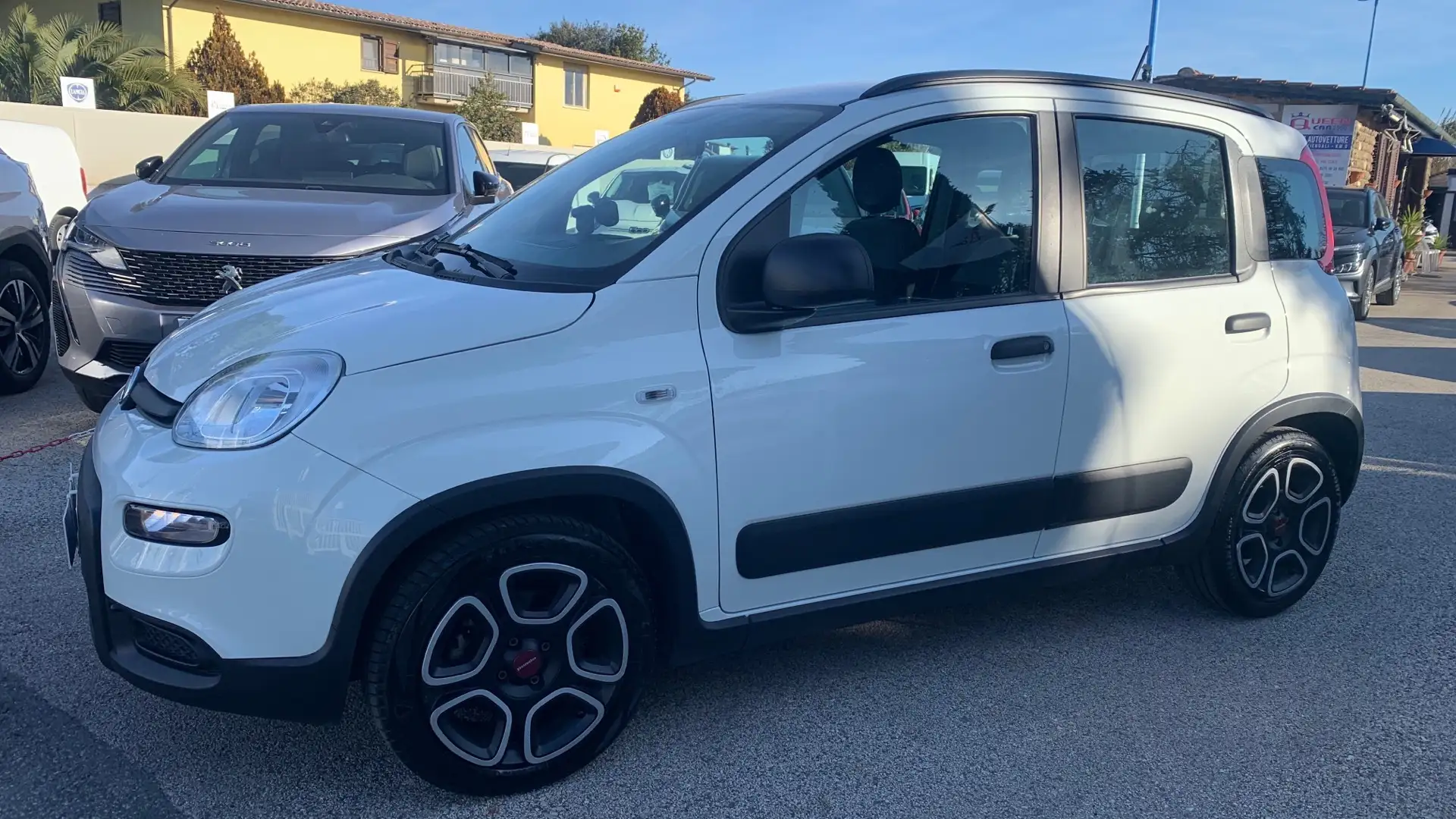 Fiat Panda 1.0 City Life+5"P. VARI KM & COL - PREZZO REALE Blanco - 1