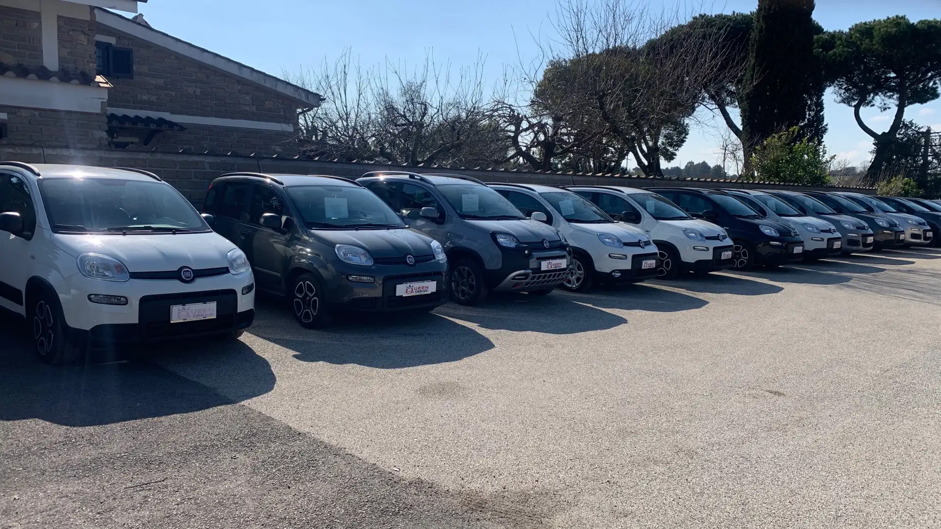 Fiat Panda 1.0 City Life+5"P. VARI KM & COL - PREZZO REALE Blanco - 2