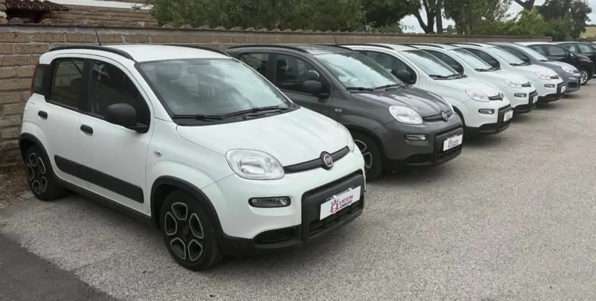 Fiat New Panda 1.0 City Life+5"P. VARI KM & COL - PREZZO REALE Bianco - 2