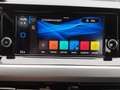 Volkswagen Golf Life TDI Grau - thumbnail 20