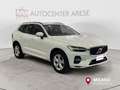 Volvo XC60 B4 (d) automatico Core Bianco - thumbnail 8