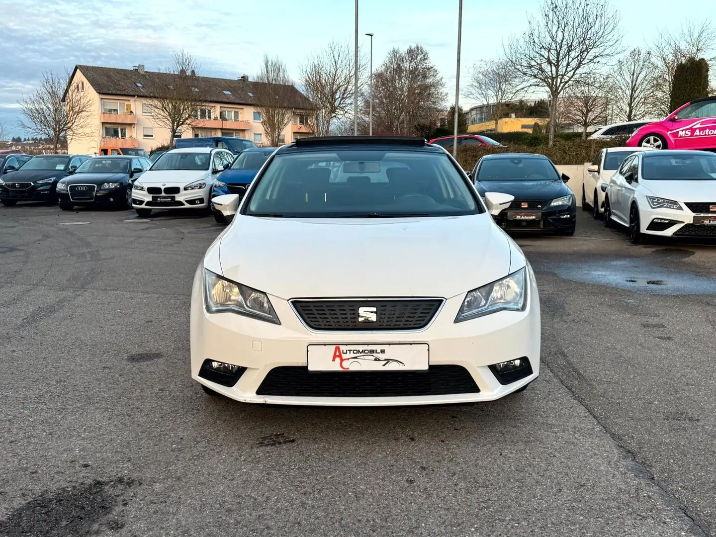 SEAT Leon SC 1.6 TDI Ecomotive Style_KlimAut_Glasdach Blanc - 2