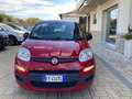 Fiat Panda 1.2 Easy Rojo - thumbnail 3