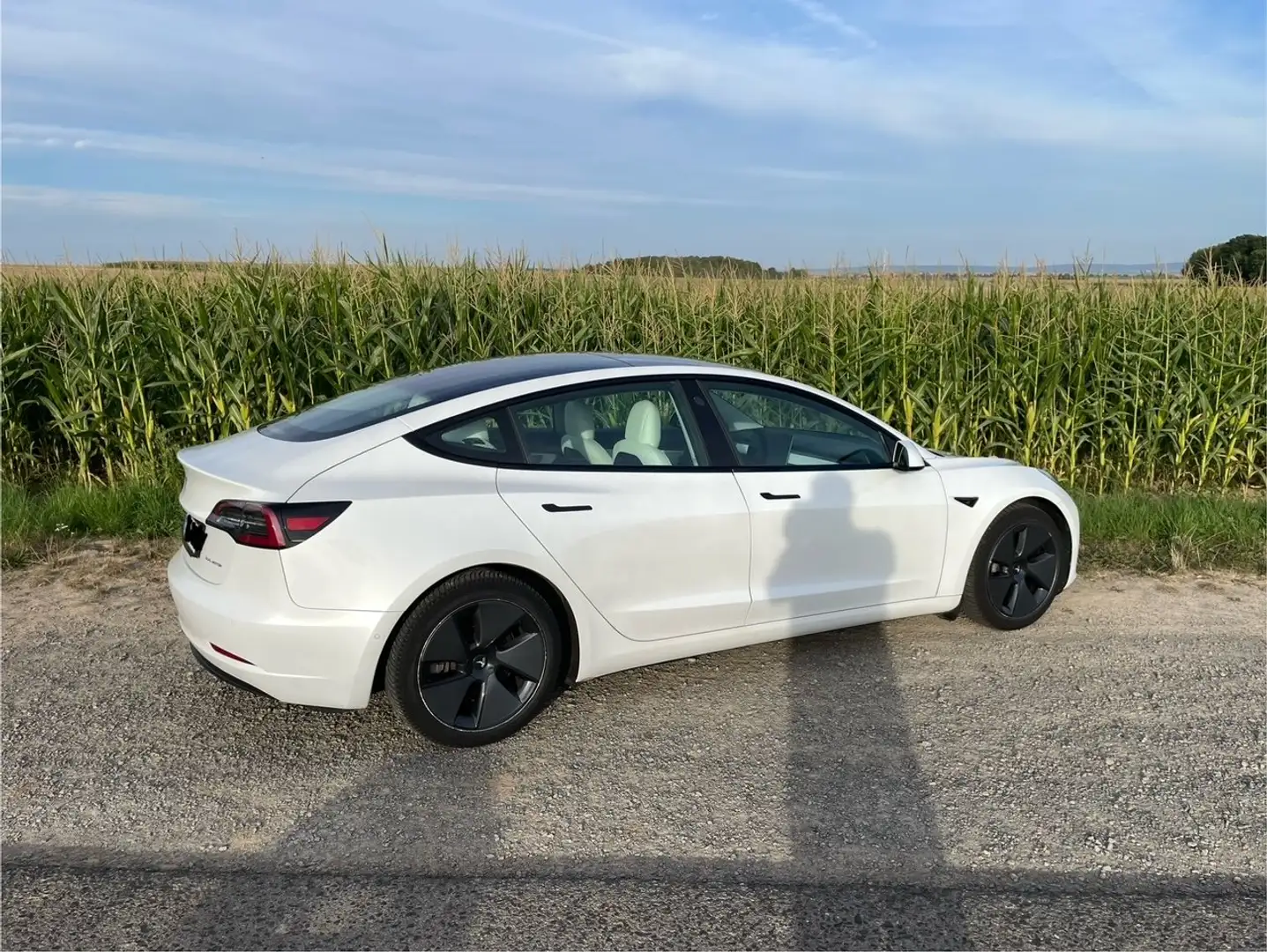 Tesla Model 3 Model 3 Allradantrieb Dual Motor Weiß - 2