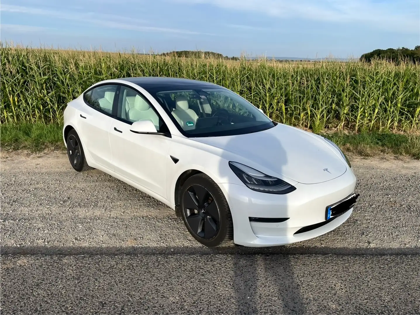 Tesla Model 3 Model 3 Allradantrieb Dual Motor Weiß - 1