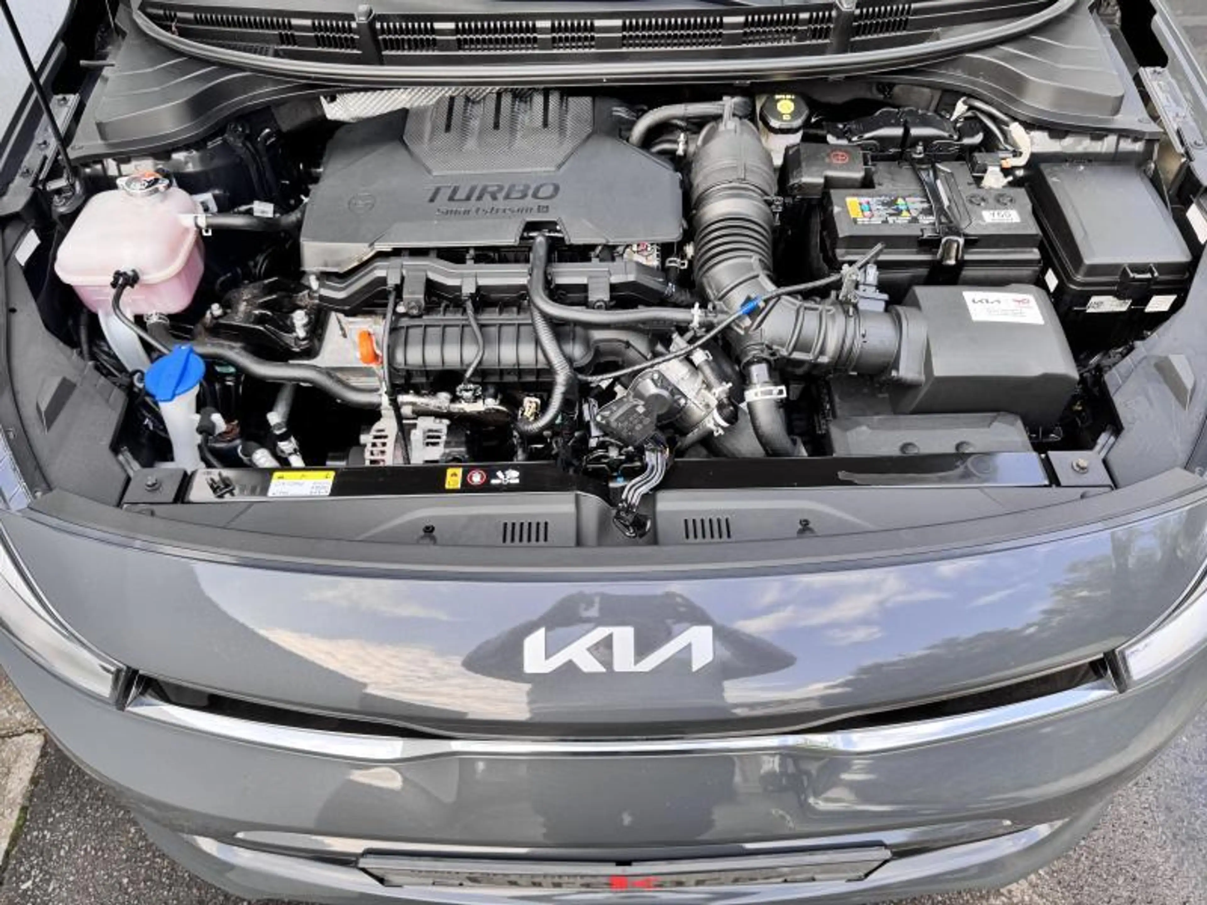Kia Rio — photo 15