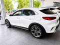 Kia XCeed 1.0 T-GDi Eco-Dynamics Tech Blanco - thumbnail 10