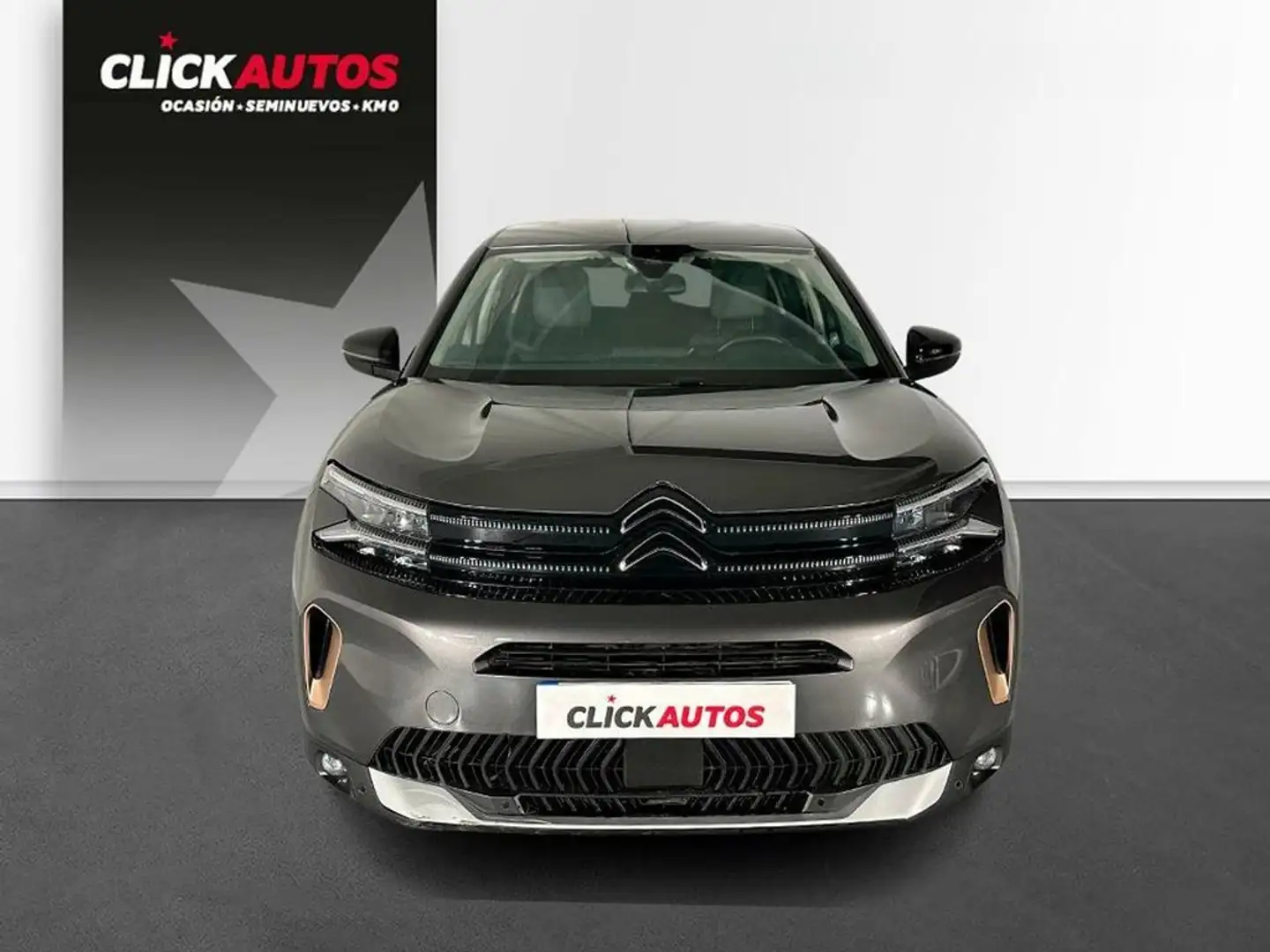 Citroen C5 Aircross PureTech S&S C-Series EAT8 130 Gris - 2