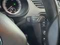 Skoda Octavia Drive 1.6 TDI 116 ch CR FAP DSG7 ~ Climatisation automatique bi-zone ~ Écran multimédia ~ Radars AV AR Gris - thumbnail 14