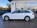 Skoda Octavia Combi 2.0 TDI DSG Style AHK+17"+NAVI-COL Weiß - thumbnail 2