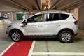 Ford Kuga Kuga 2.0 TDCi 163 CV 4WD Powersh.Titanium DPF Weiß - thumbnail 14