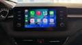 Skoda Fabia 1.0 tsi Style 95cv Ok Neopatentati *PREZZO REALE* Blanc - thumbnail 24
