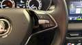 Skoda Fabia 1.0 tsi Style 95cv Ok Neopatentati *PREZZO REALE* Blanc - thumbnail 18